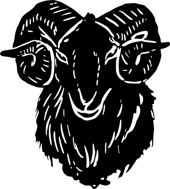 /2020/12/Head-Ball-2-download.webp
