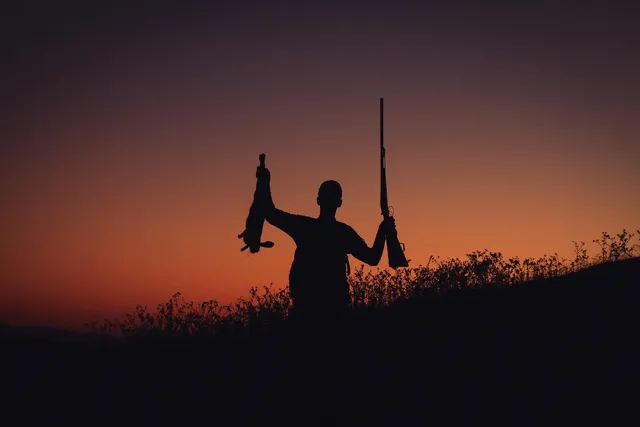 /2020/12/Sniper-3D-apk.webp